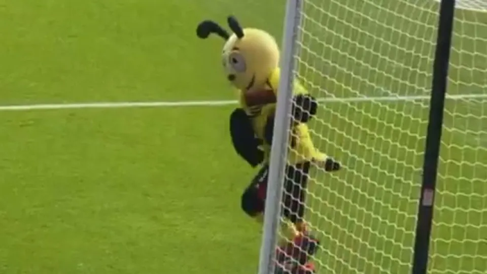Gesto da mascote do Watford frente ao Southampton já se tornou viral